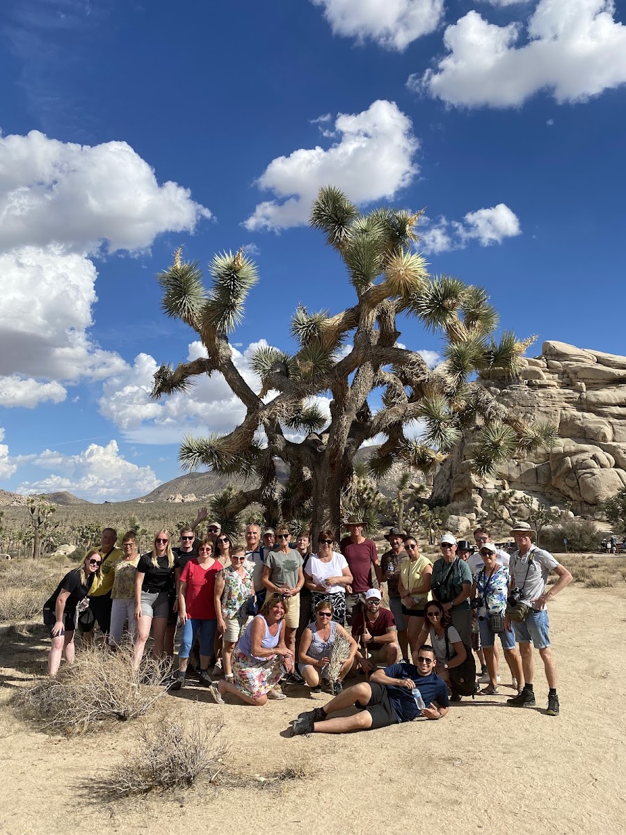 Joshua Tree National Park